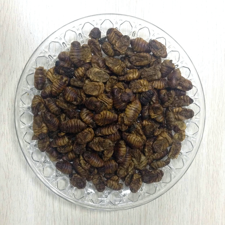 Top Grade Dried Silkworm for Fish Food Pellets